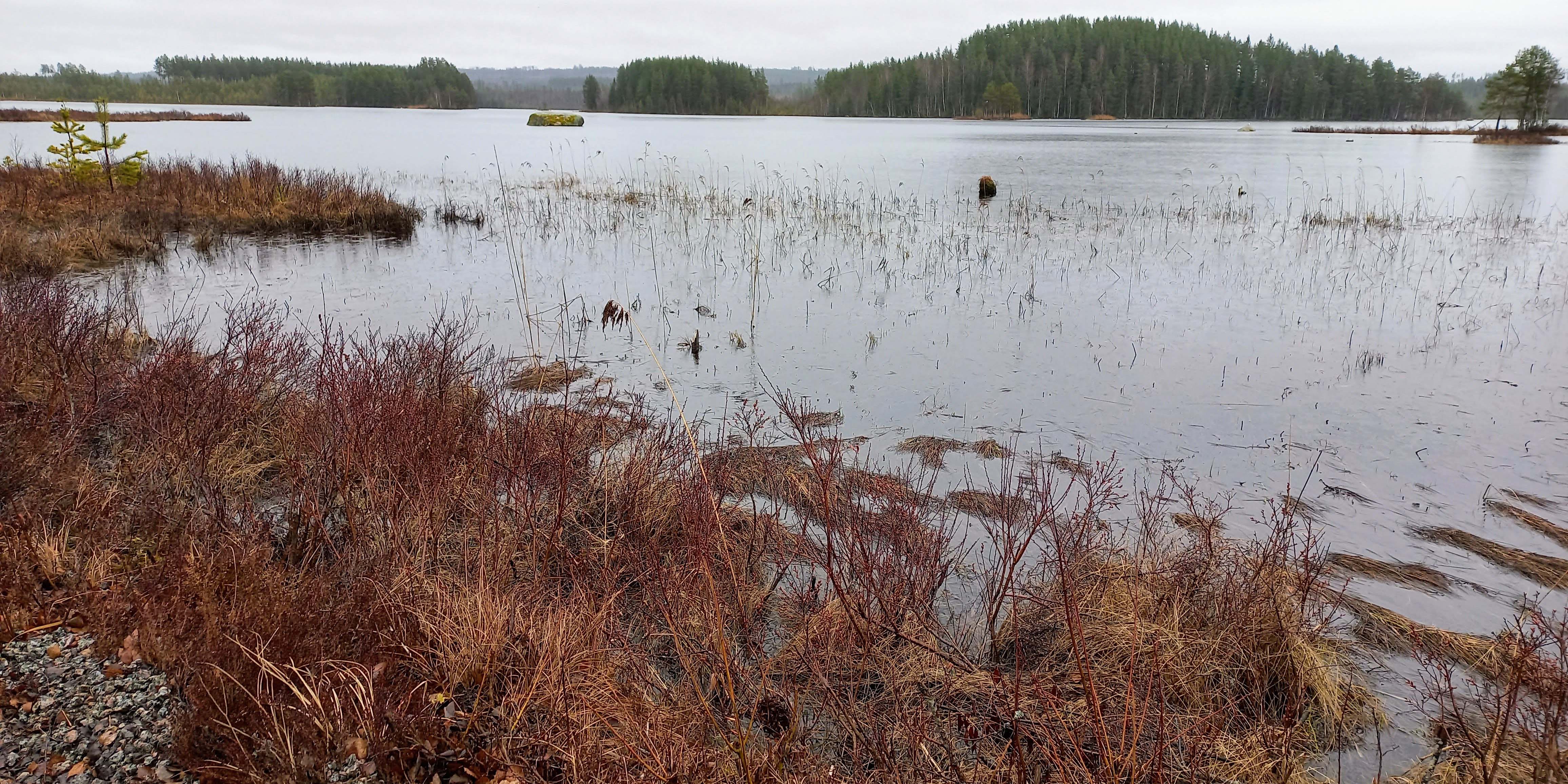 Värmländska sjön Dragsjön har en hög vattennivå 